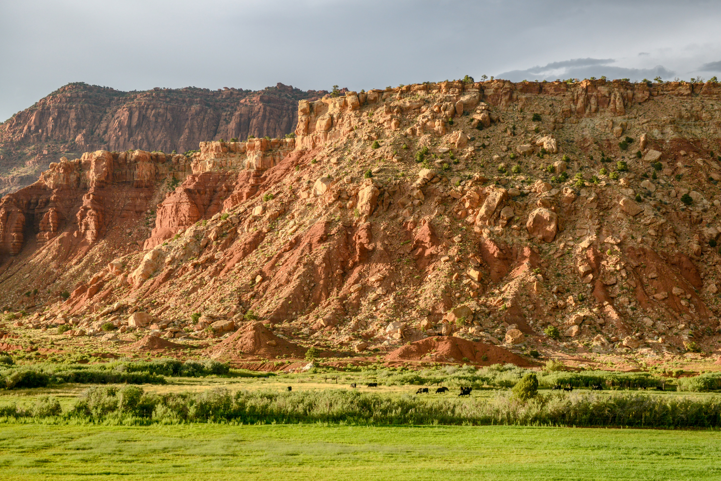 capitol reef national park, utah (3).webp